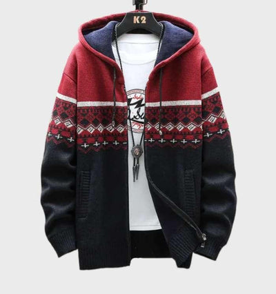 Anthony - Multicolor jas hoodie